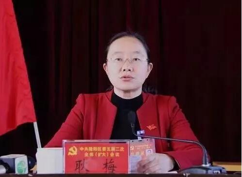 云南保山女副市长被查 传为艾滋高官孔垂柱情妇