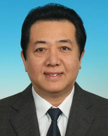北京市丰台区副区长王新元接受审查调查