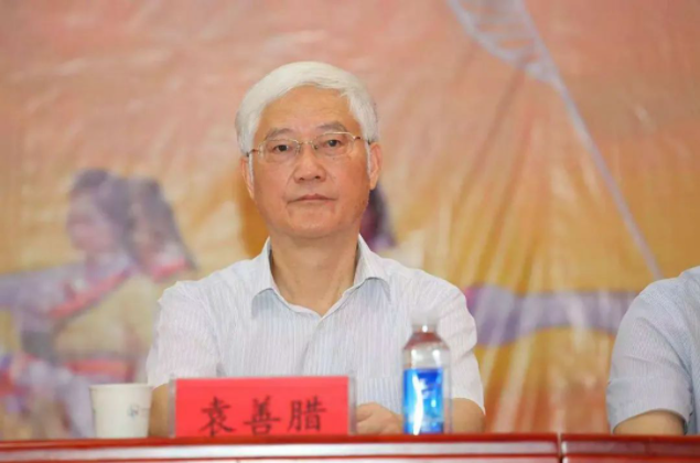 武汉市原常务副市长袁善腊，被开除党籍