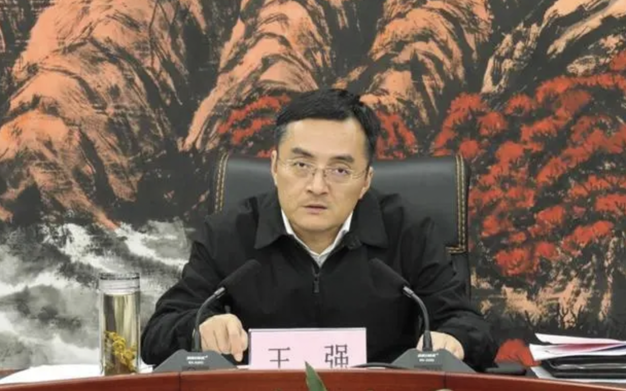 ​江西省南昌市政府党组成员、副市长王强被查