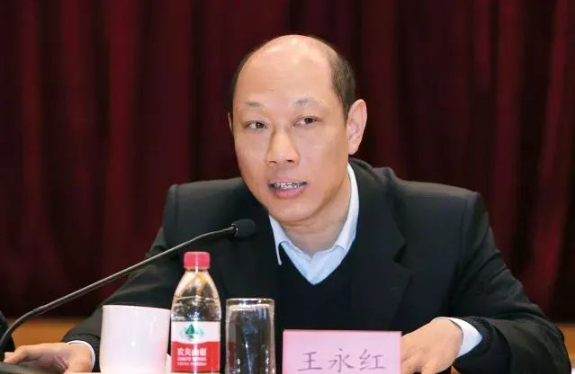 中国人民银行科技司原司长王永红，被&quot;双开&quot;