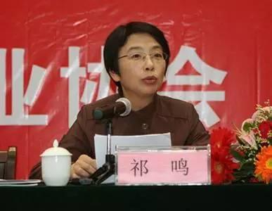 女副市长当“掮客”转送金条 辽宁贿选细节曝光 