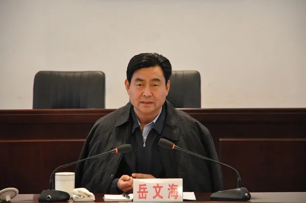 辞去公职10年，周口市原市长岳文海被查